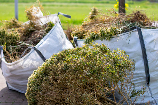Trash Removal Near Me in Aberdeen, OH